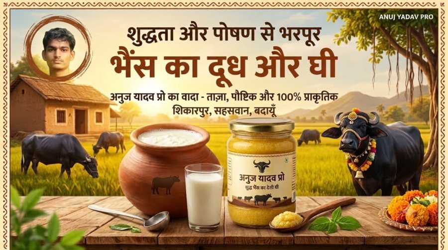Anuj yadav